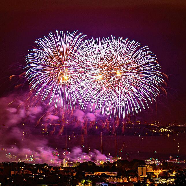 (Archivbild) Das Feuerwerk ist der Höhepunkt des Konstanzer Seenachtfestes. Viele Besucher kommen vor allem wegen dieses Programmpunkts, ...