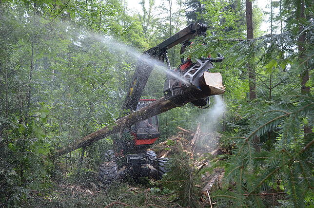 Rasend schnell zersägt der Harvester die gefällten Bäume in abholbereite Stücke mit 5 Metern Fixlänge. Diese Schnelligkeit ist im ...