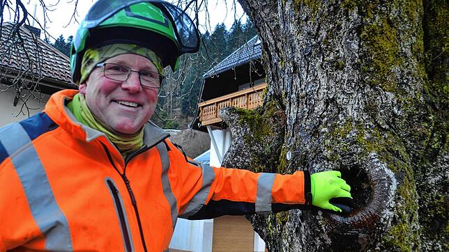 Christian Stockheim aus Bernau ist Experte für die Baumpflege. Bild: Christiane Sahli