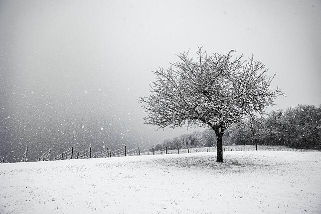 Bild 13: Immer noch überall Schnee: Der SÜDKURIER zeigt die schönsten Bilder der vergangenen Tage