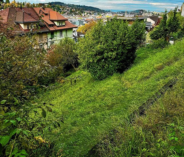 Auf dieser Wiese soll die Piste präpariert werden.