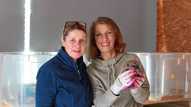 Manuela Martin (rechts) und Gillian Rose-Braun, eine ihrer Helferinnen in der Halle mit den zu pflegenden Jung-Igeln.