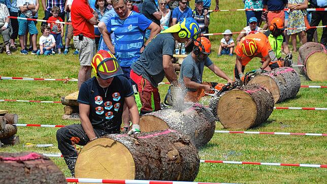Der Holzfällerwettbewerb zieht jedes Jahr viele Zuschauer an. Bild: Christiane Sahli