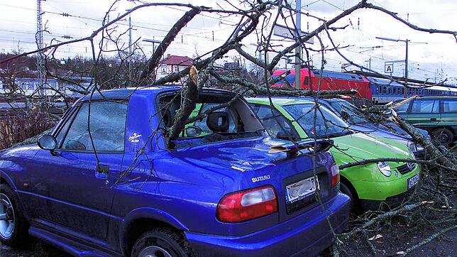 Lothar vor 25 Jahren: Auf dem Bahnhofs-Parkplatz in Villingen beschädigten herabfallende Äste geparkte Autos.