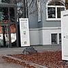 Vor dem Nexus-Hauptquartier wirft ein Baum sein altes Blätterdach ab. Innerhalb des Unternehmens stehen Zeichen ebenfalls auf ...