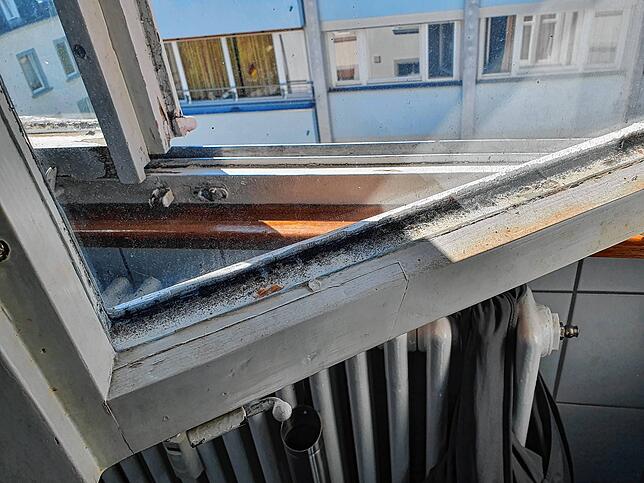 Schimmel im Fensterrahmen.
