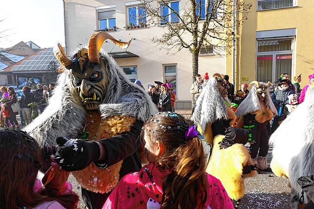 Bild 3: Bilderstory: Umzug und Narrenbaumstellen in Rickenbach begeistern die Zuschauer