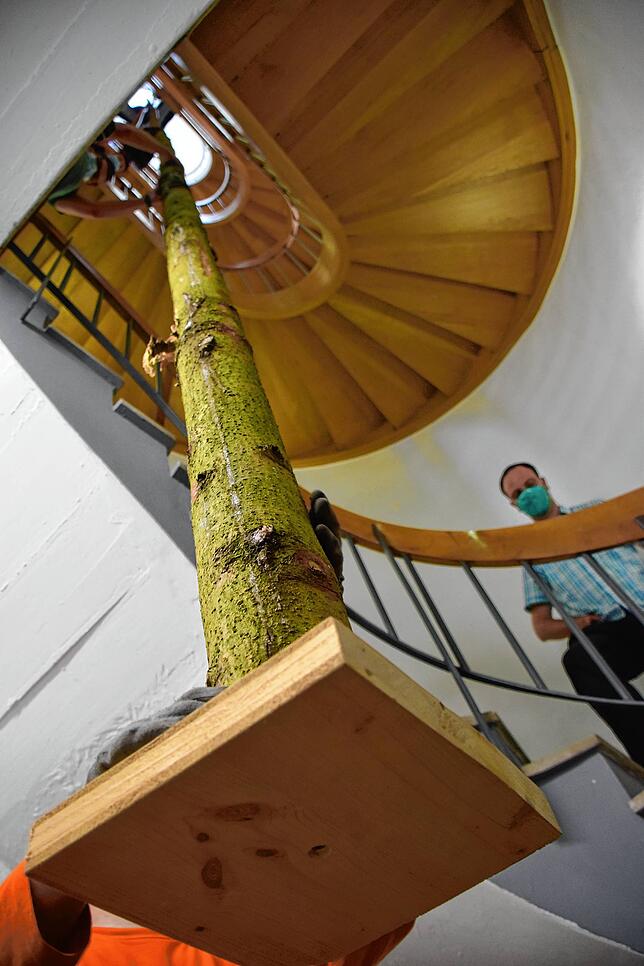 Bild 20: 18 Meter hoher Narrenbaum schwebt per Kran ins Museum ein: Der ungewöhnliche Einsatz der Zimmerergilde für die Fasnachts-Ausstellung in Bildern