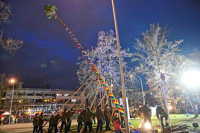 Bild 39: In Petershausen steht der Narrenbaum! Alle Fotos vom Freitagabend