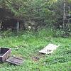 Bereits im Sommer war ein Wolf in eine Fotofalle bei Liechtenstein getappt. Bild: Hegering Reutlingen