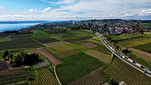 Stau auf der Bundesstraße 31 vor Hagnau. Mancher, der hier steht, wird sich fragen, weshalb gibt es am Bodensee keine Autobahn?