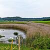 Im Heudorfer Ried ist durch die starken Regenfälle der vergangenen Wochen ein See entstanden. Er zeigt an, dass hier viel Wasser ...