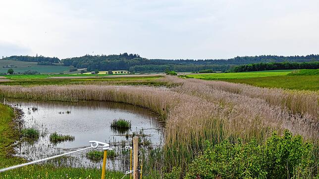 Im Heudorfer Ried ist durch die starken Regenfälle der vergangenen Wochen ein See entstanden. Er zeigt an, dass hier viel Wasser ...
