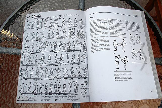 Im Lehrbuch sind Bewegungsabläufe (Katas) abgebildet.