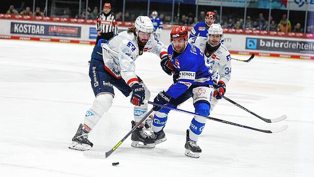 Im Derby gegen die Adler Mannheim feiern Tyson Spink (vorne rechts) und die Schwenninger Wild Wings einen deutlichen 6:2-Erfolg.