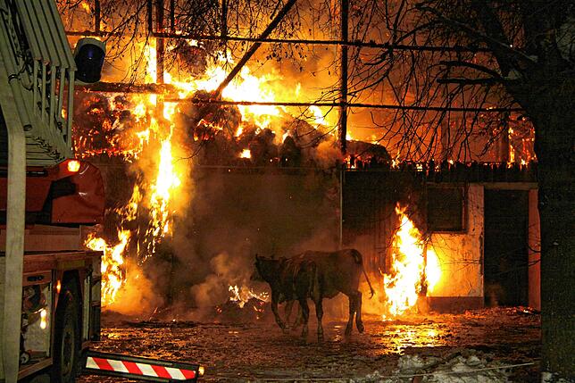 Das Drama in einem Bild: Der Stall des Stellenhofs geht in Flammen auf.