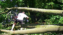 Trotz Sperrung: Radler und Fußgänger versuchen immer wieder auf dem Uferweg Richtung Marienschlucht vorzudringen.