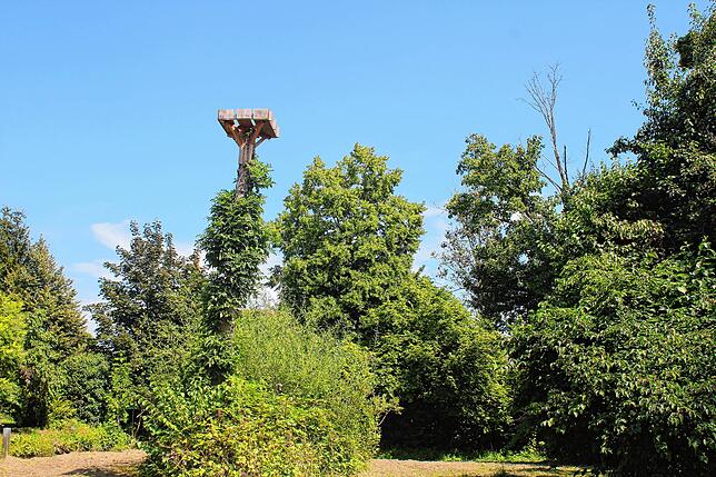 Das zweite Ersatznest wurde auf einem Baum befestigt, der ebenfalls weiter hinten auf dem Grundstück steht.
