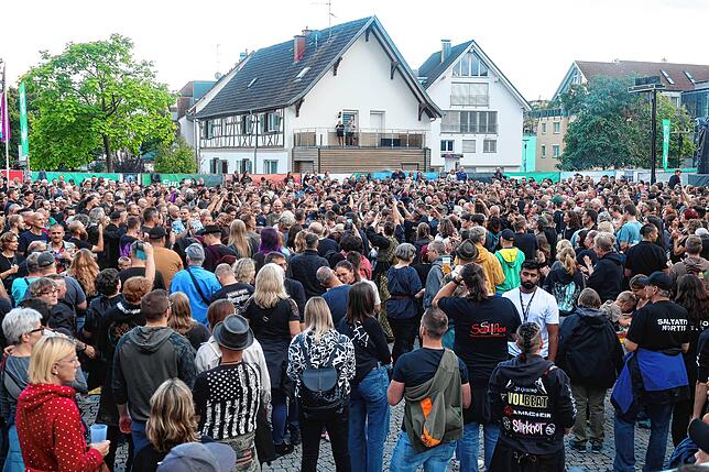 Bild 2: Saltatio Mortis heizten dem Publikum ein – hier gibt‘s die besten Fotos vom Hohentwielfestival