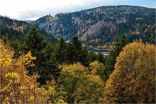 Bild 15: So schön ist der goldene Oktober: Leserreporter zeigen ihre schönsten Herbst-Impressionen