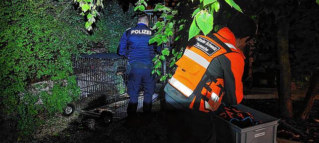 Pettrailer und Kantonspolizei brachten Marlo ins Tierheim.