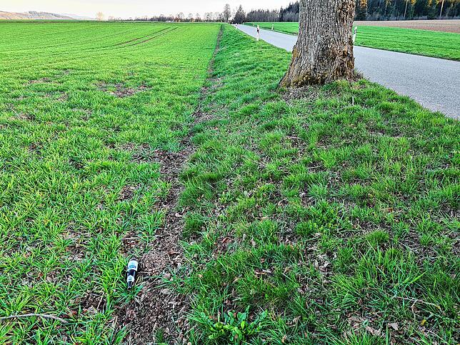 Eine Bierflasche liegt einsam auf einer Wiese direkt neben der vorbeiführenden Autofahrbahn.