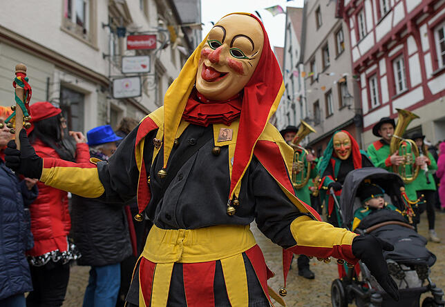 Bild 28: Tausende Hästräger und Musiker in Pfullendorf: Bilder vom Umzug (4)