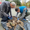 Die Fachleute &ndash; links Bieneninspektor Stefan Neupert &ndash; untersuchen das Nest der Hornisse noch vor Ort.