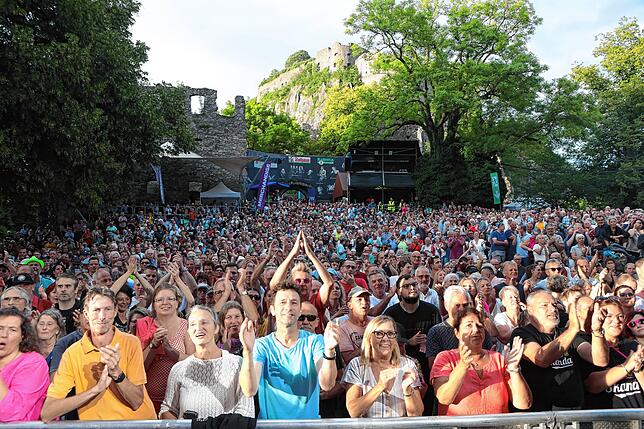 Bild 7: Das Hohentwiel-Festival mit der Spider Murphy Gang (Bilderstory Teil 2)
