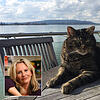 Purzel, der Kater von Schriftstellerin Gaby Hauptmann, ist verschwunden - wie einige andere Katzen in Allensbach auch.