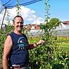 Karl Brielmayer in seiner Birnenplantage. Der Obsterzeuger hat in seiner Maschinenhalle neue Wohnungen für die Erntehelfer eingerichtet. ...