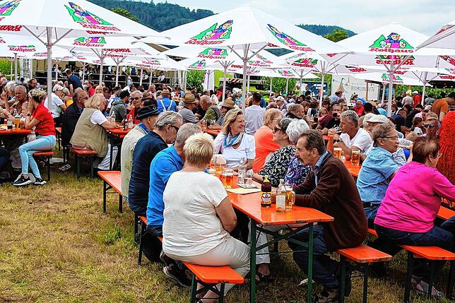 Bild 2: Tausende Besucher an der Bohlinger Sichelhenke