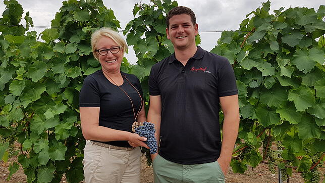 Weingutsbesitzerin Andrea Netzhammer und Winzermeister Adrian Häfner vom Weingut Engelhof in Hohentengen sind vom Wachstum und Reifegrad ...