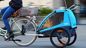 Die geplanten Fahrradstraßen in Rheinfelden sollen auch dazu animieren, dass etwa Eltern ihre Kinder statt mit dem Auto mit dem Velo zur ...