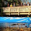 Informieren sich über die Wassersperre (v.l.): Horst Schottmüller, Bruno Imeri, Dirk Harscher, Delia Kuhnert, Hans Zeiher, Christoph ...