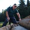 Kleiner Käfer mit großer Wirkung: Förster Werner Gebhard, der rund 2500 Hektar Wald betreut, inspiziert den letzten Hieb aus einem ...