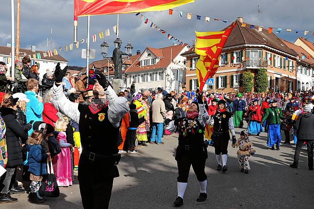 Bild 14: Bilder vom Fasnetssunntig-Umzug in Markdorf (Teil 2)