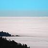 Land unter: Oftmals hängt im Winter eine dicke Nebeldecke über dem Bodensee. Doch gibt es mittlerweile mehr Sonnentage als früher?