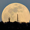 Auf diesem Foto erscheint der gelbe Mond riesengroß. Gut zu erkennen ist genau in der Mitte das dunklere Tiefland des &bdquo;Meeres der ...