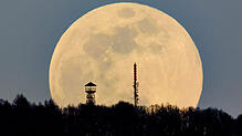 Auf diesem Foto erscheint der gelbe Mond riesengroß. Gut zu erkennen ist genau in der Mitte das dunklere Tiefland des &bdquo;Meeres der ...