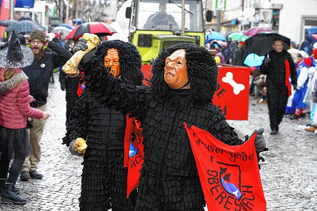 Bild 20: Alle Bilder vom großen Umzug in Villingen am Dienstag (4)