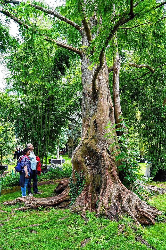 Bild 9: So kommt die Landesgartenschau bei ihren Besuchern an