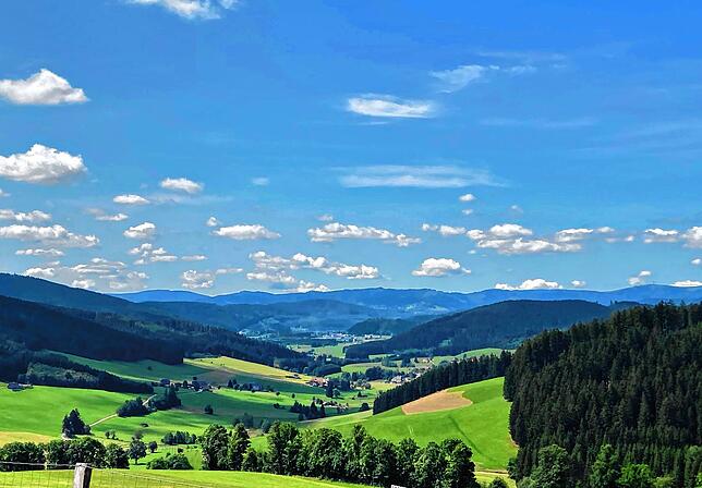 Der Schwarzwaldblick entlang der Strecke hat es in sich.