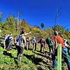 Experten und Waldbesitzer diskutieren über den Waldbau der Zukunft. Bild: Denis Schimak