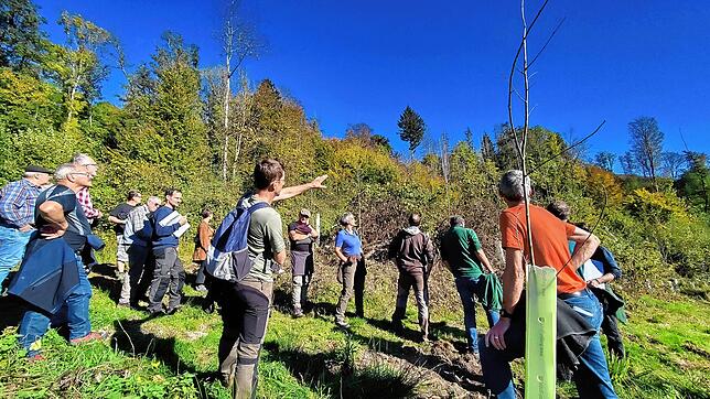 Experten und Waldbesitzer diskutieren über den Waldbau der Zukunft. Bild: Denis Schimak