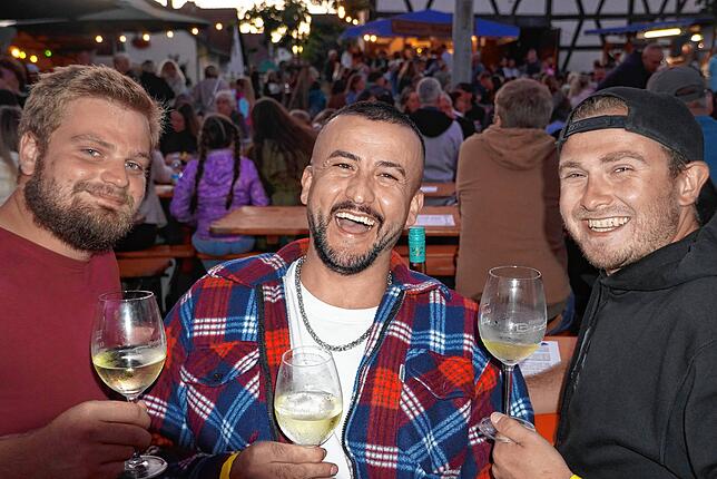 Bild 6: Bilder vom Auftakt des Weinfests in Bermatingen