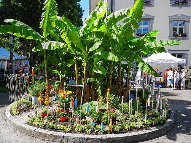 Bild 3: Die schönsten Bilder von der DIGA-Gartenmesse im Bad Säckinger Schlosspark
