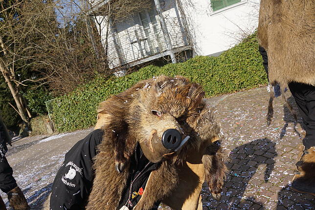 Bild 22: Küssaberger Narrentreffen 2025: Rheinheim feiert Fasnacht