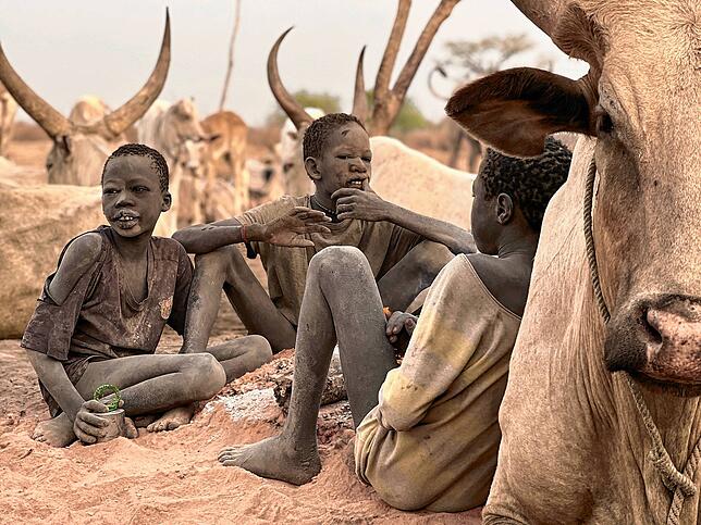 Die Mundari sind eine Ethnie in Südsudan. Das Nomadenvolk lebt mit seinen Tieren zusammen. Die Ankole-Watussi-Rinder mit ihren ...