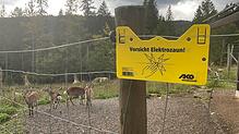 Für das Wildgehege gibt es Geld von der Stadt St. Blasien. Foto: Sebastian Barthmes